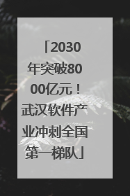 2030年突破8000亿元！武汉软件产业冲刺全国第一梯队