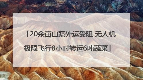 20余亩山蔬外运受阻 无人机极限飞行8小时转运6吨蔬菜