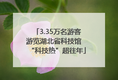 3.35万名游客游览湖北省科技馆 “科技热”超往年