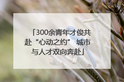 300余青年才俊共赴“心动之约” 城市与人才双向奔赴