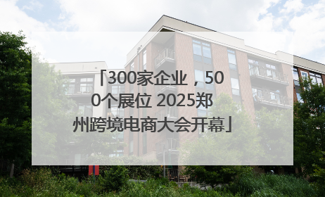 300家企业，500个展位 2025郑州跨境电商大会开幕