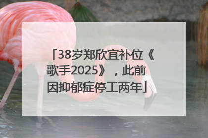 38岁郑欣宜补位《歌手2025》，此前因抑郁症停工两年