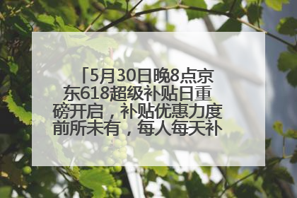 5月30日晚8点京东618超级补贴日重磅开启，补贴优惠力度前所未有，每人每天补贴超6180元！