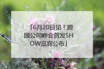 6月20日见！跨国公司峰会首发SHOW嘉宾公布