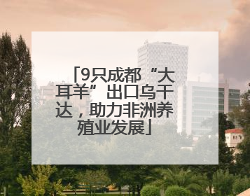9只成都“大耳羊”出口乌干达，助力非洲养殖业发展
