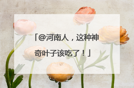 @河南人，这种神奇叶子该吃了！