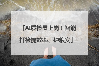 AI质检员上岗！智能扦检提效率、护粮安