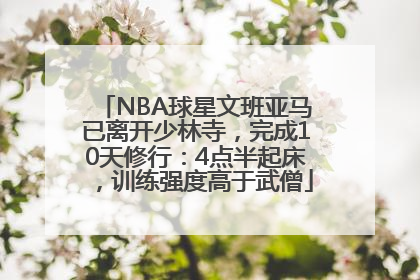 NBA球星文班亚马已离开少林寺，完成10天修行：4点半起床，训练强度高于武僧